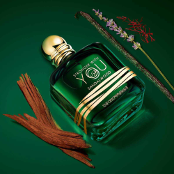 عطر سترونجر ويذ يو صندل وود جورجيو أرماني الرجالي أو دو بارفيوم 100 مل  Stronger With You Sandalwood Giorgio Armani Eau de Parfum